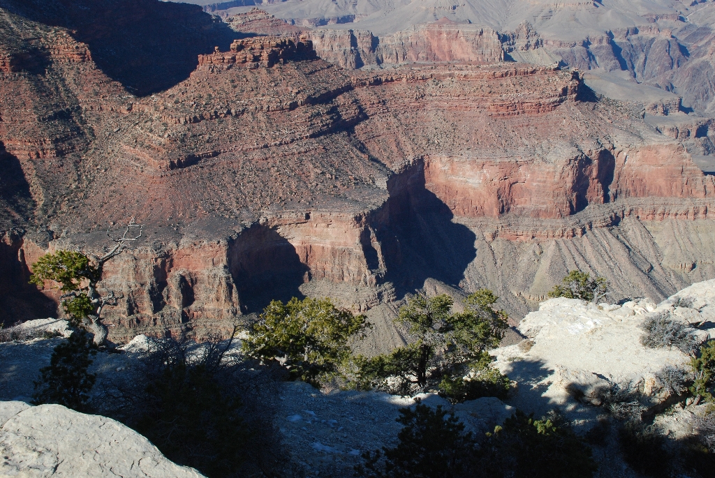 DSC_1826.JPG